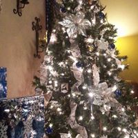 Vicki Chappell Photo 7