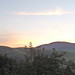 Carol Muir Photo 8
