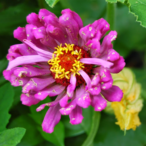 Gillian Mcgarvey Photo 2