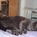 Kimberly Casey Photo 26