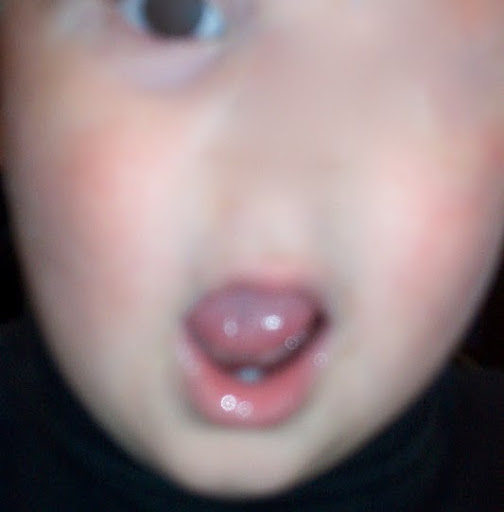 Henry Harrison Photo 6 Henry Harrison Photo 6