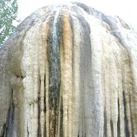 Connie Dillon Photo 34