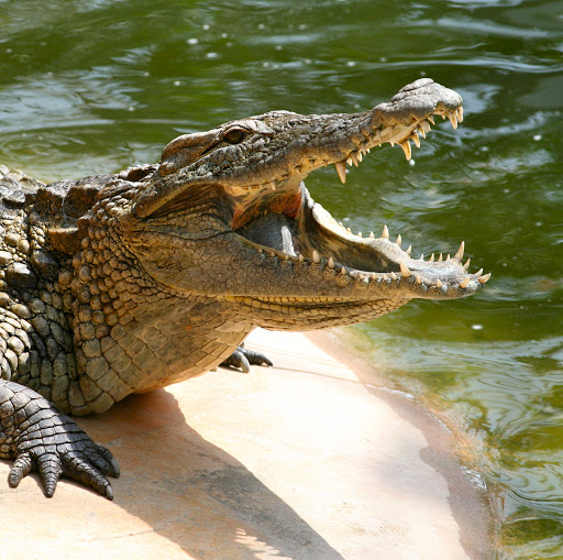 Thomas Cheung Photo 18