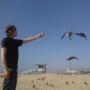 John Downing Photo 9