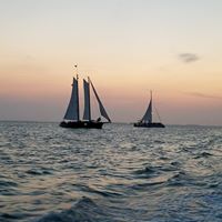 Michele Benedict Photo 5