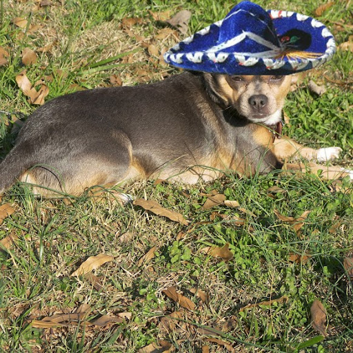 Ginny Brooks Photo 5