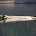 Michael Haley Photo 17