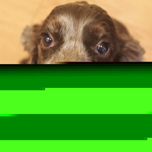 Catherine Smart Photo 20