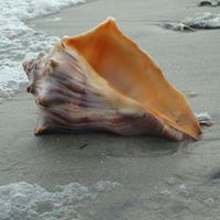 Jean Hubbard Photo 30