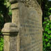 Ann Fletcher Photo 21