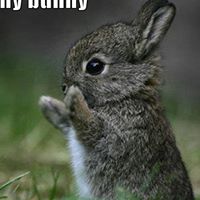 Erik Randall Photo 17