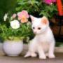 Donna Keys Photo 30