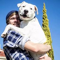 Nicholas Stuart Photo 23