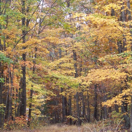 Cheryl Magee Photo 10