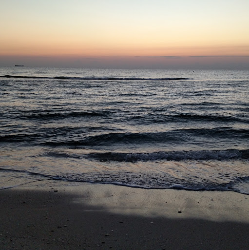 Michael Cardillo Photo 26