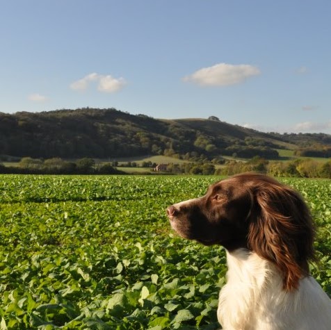 Christian Forte Photo 12