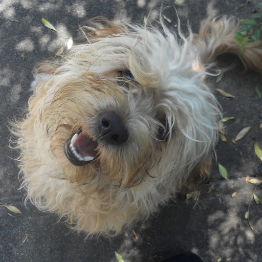 Kristopher King Photo 26