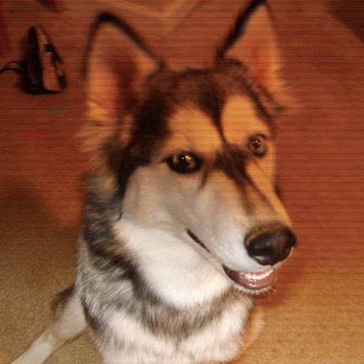 Stephanie Moon Photo 12