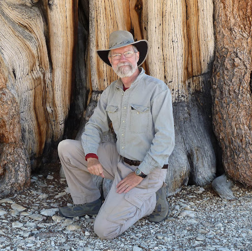 Terry Hayden Photo 35