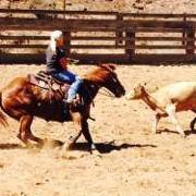 Arlene Scott Photo 4