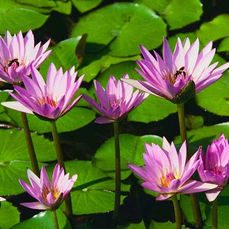 Kristen Hickey Photo 10