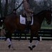 Jonathan Canter Photo 24
