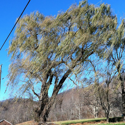 Kathryn Spencer Photo 25