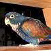 Colleen Chance Photo 15