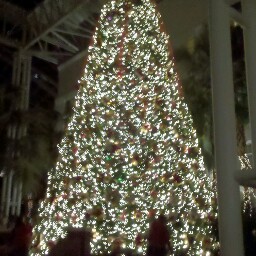 Brice Anderson Photo 14