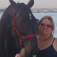 Tracy Howes Photo 12