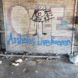 Danny Davidson Photo 8