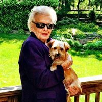 Lois Mcclure Photo 7