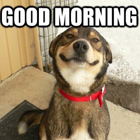 Luke Barnett Photo 23