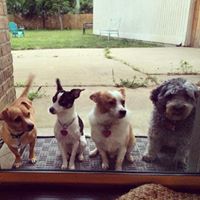 Nancy Minter Photo 23