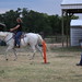 Traci Strong Photo 16