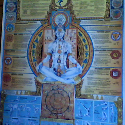 Robyn Henderson Photo 9