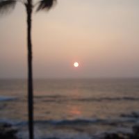 Renee Vincent Photo 19