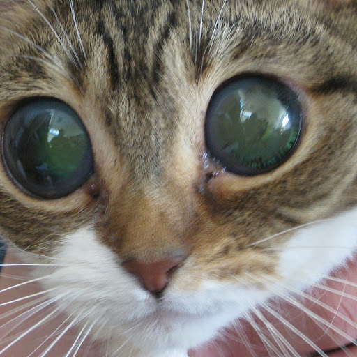 Timothy Barr Photo 12