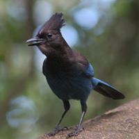 Brian Mcgowan Photo 6