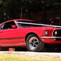 Mark Field Photo 39 Mark Field Photo 39