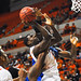 Darrell Travis Photo 26