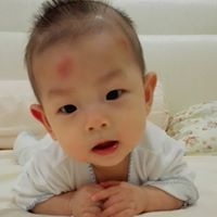 Shih Chang Photo 14 Shih Chang Photo 14