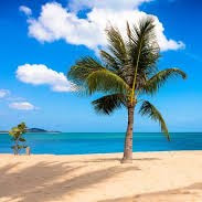 Erica Ramos Photo 39