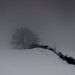 Loren Miles Photo 9