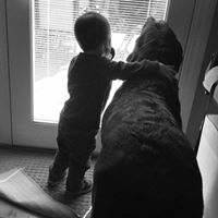 Deborah Caruso Photo 23