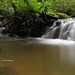 Tom Mcdowell Photo 35