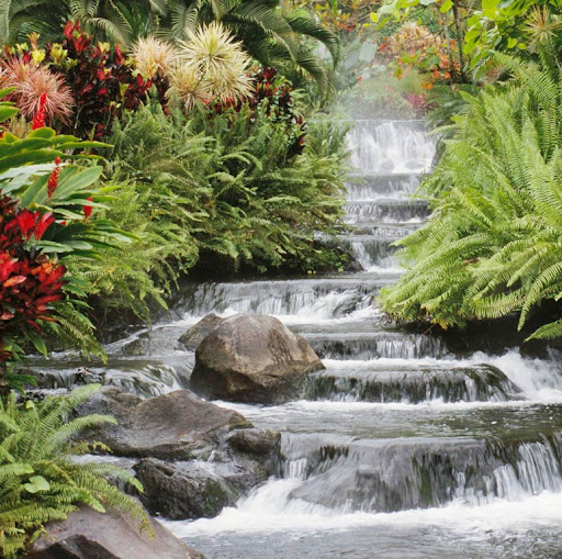 Patrick Healey Photo 14 Patrick Healey Photo 14