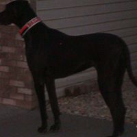 Stacey Hendrickson Photo 19