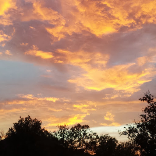 Mary Scanlan Photo 2