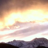 Suzanne Curtis Photo 23